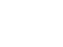 Visa Card
